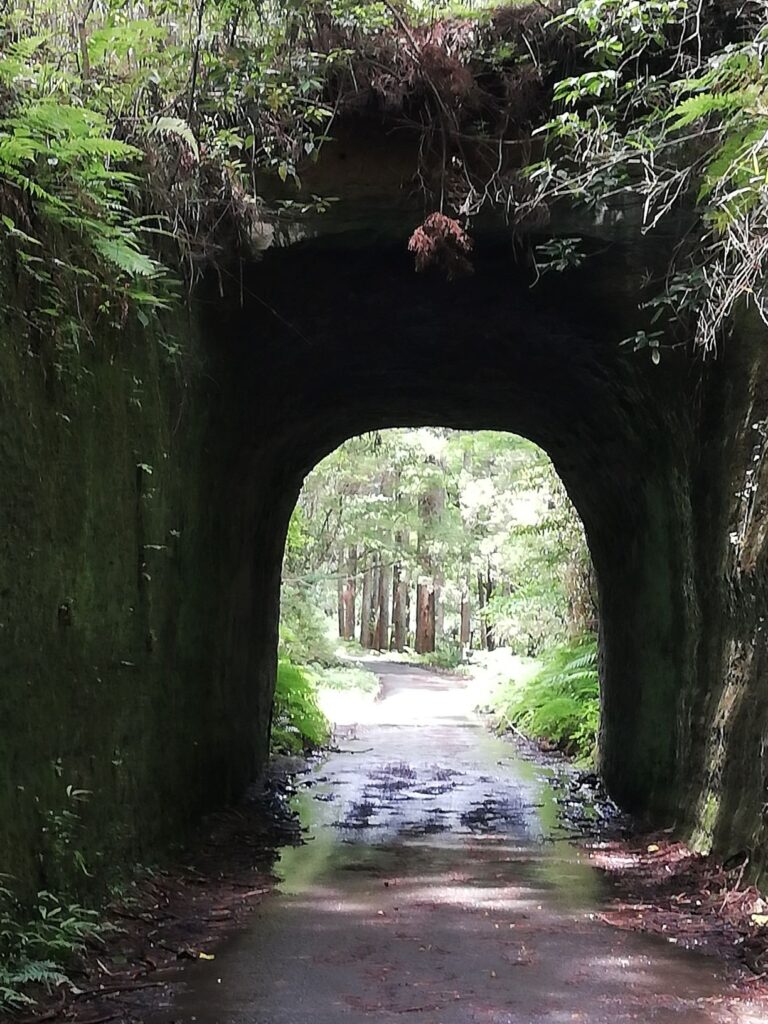 いちはらクオードの森
ハイキングコース
トンネル